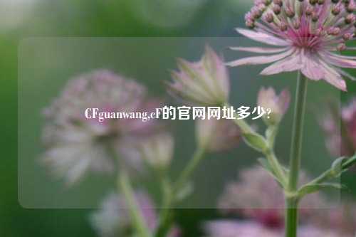 CFguanwang,cF的官网网址多少?