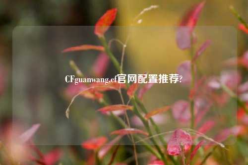 CFguanwang,cf官网配置推荐?