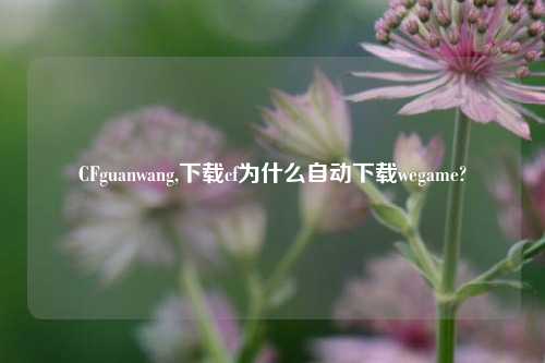 CFguanwang,下载cf为什么自动下载wegame?