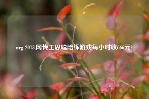 wcg 2013,网传王思聪陪练游戏每小时收666元?