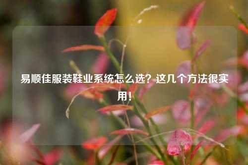易顺佳服装鞋业系统怎么选？这几个方法很实用！