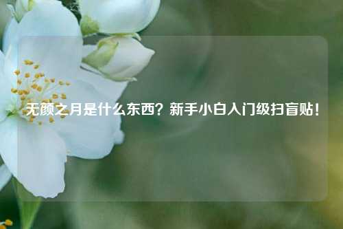 无颜之月是什么东西？新手小白入门级扫盲贴！
