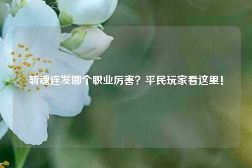 斩魂连发哪个职业厉害？平民玩家看这里！