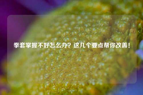 拳套掌握不好怎么办？这几个要点帮你改善！