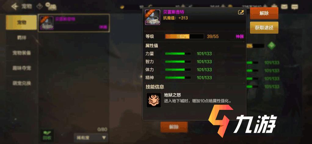 dnf宠物贝雷斯,DNF大将军用什么宠物比较好?